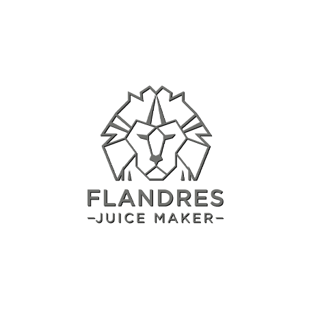 FLANDRES JUICE MAKER